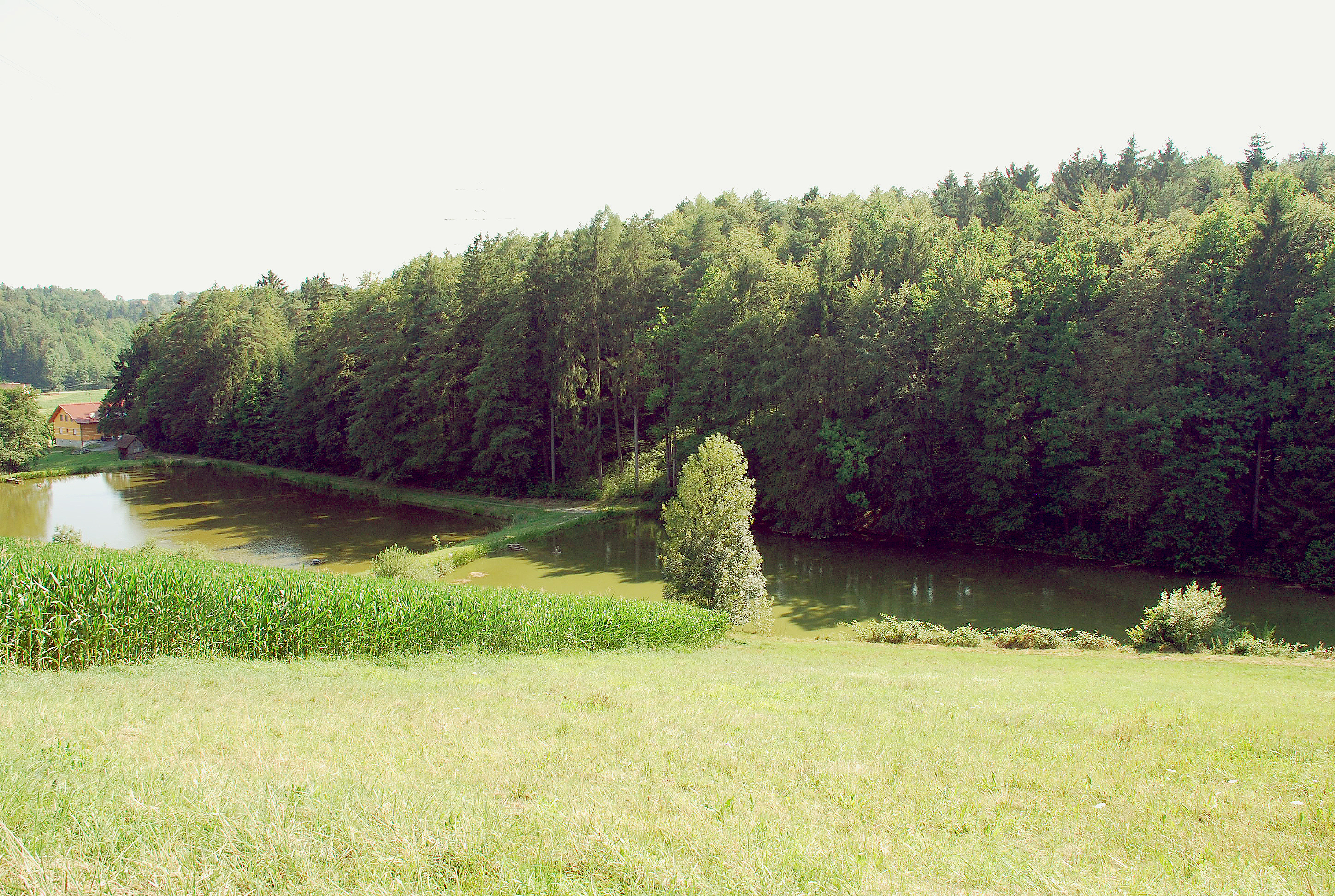 Grubberg, Styria