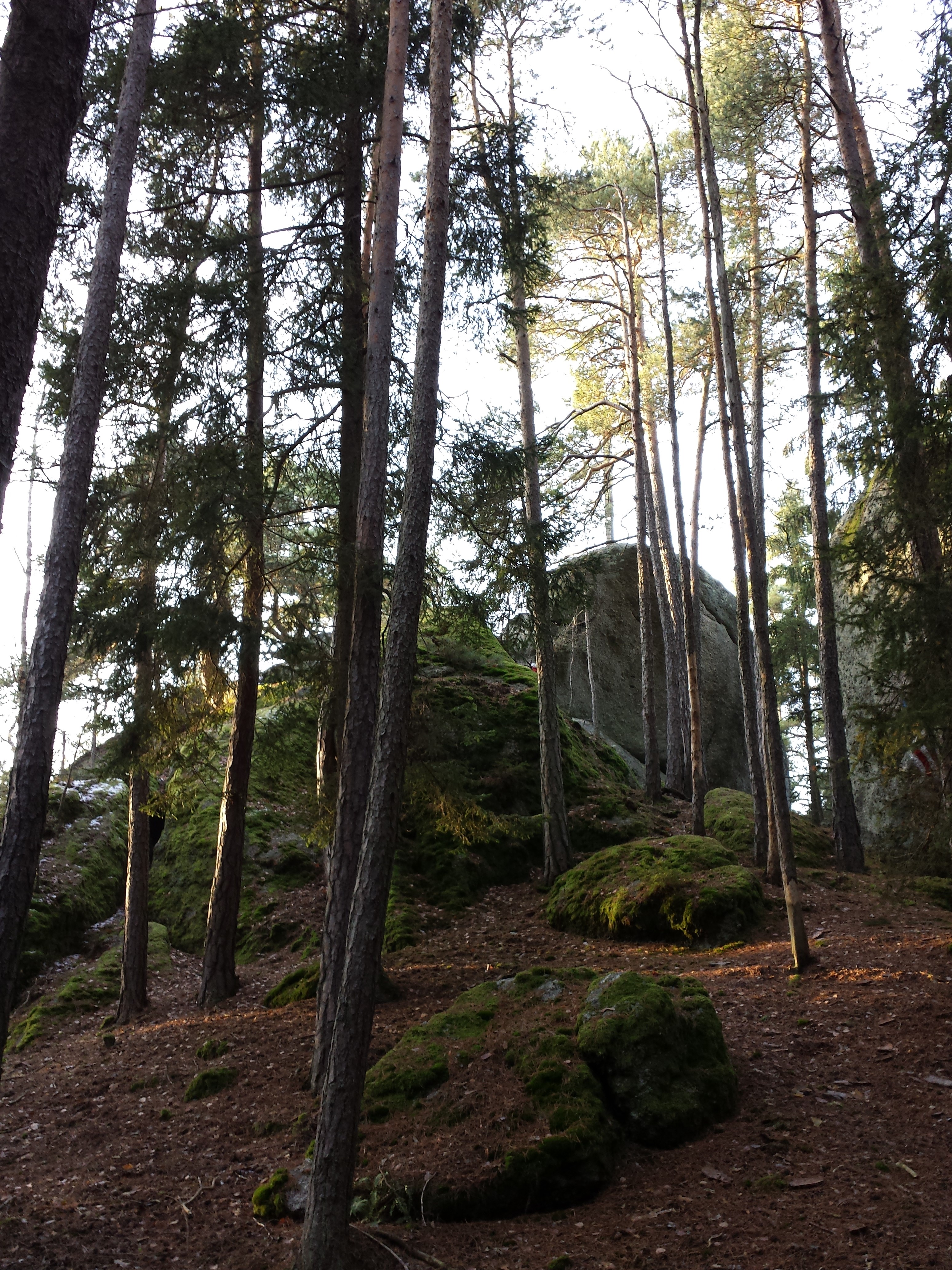 Hoher Stein photo 4