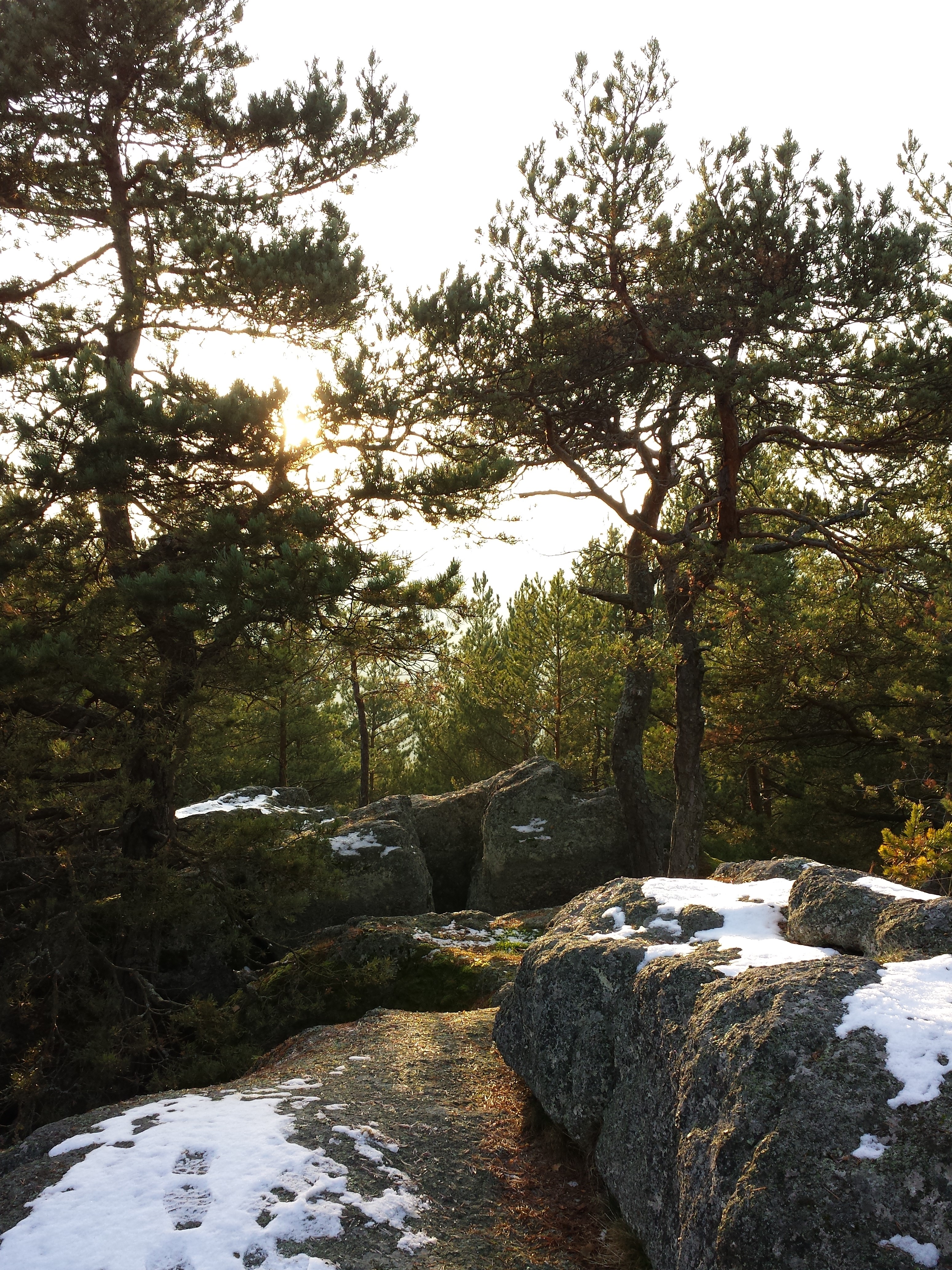 Hoher Stein photo 2