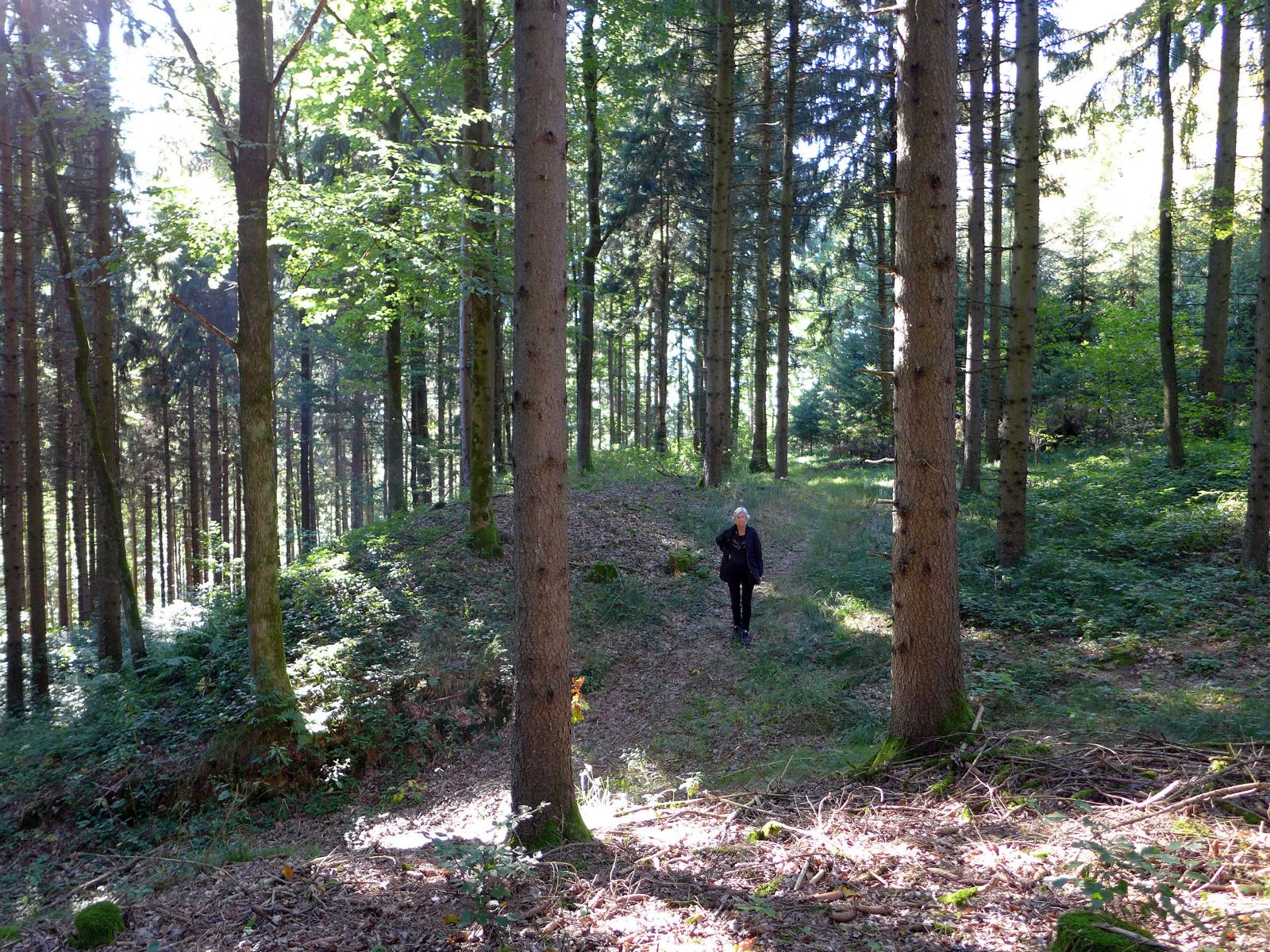 Burgstallberg, Lower Austria