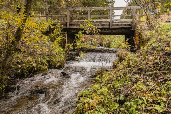 Wildbach Alpe, Carinthia