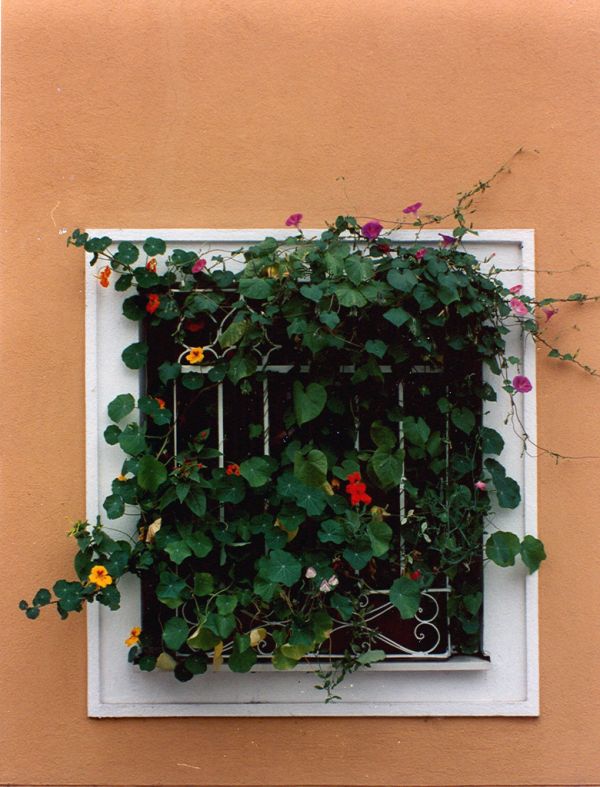 Linz, Upper Austria