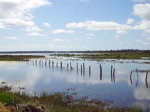 Vasse River, Western Australia