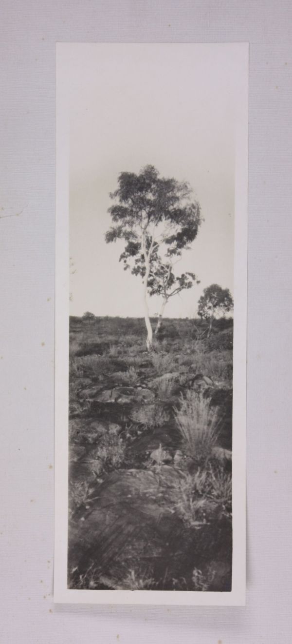 Mount Ooraminna, Northern Territory