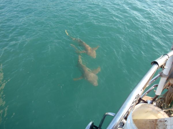 Talbot Bay photo 4