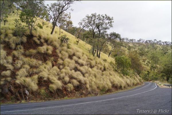 Mount Todd photo 2