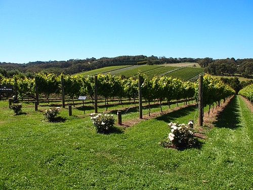 Red Hill, Western Australia