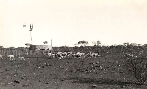Mount Narryer, Western Australia