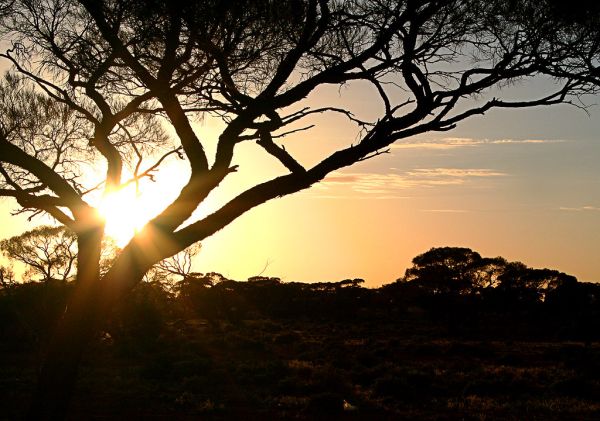 Roxby Downs photo 4