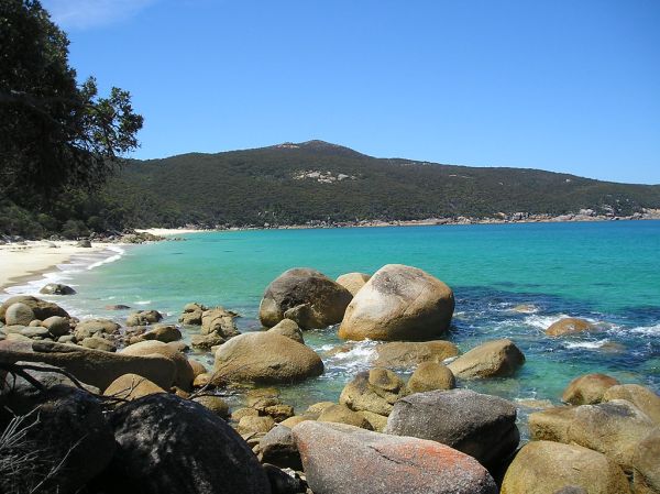 Waterloo Bay photo 4