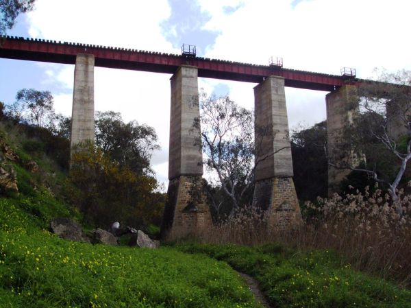 Thomas River photo 2