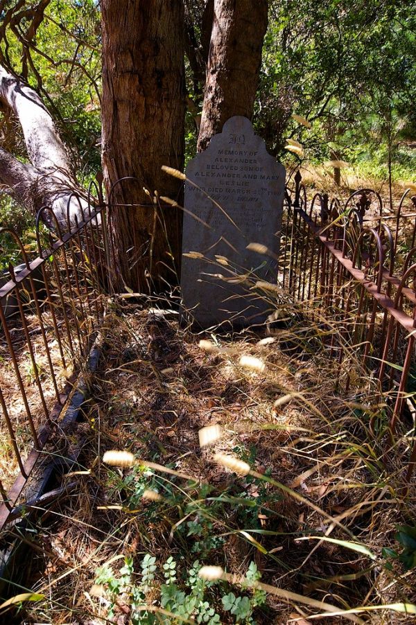 Pine Hill Reservoir photo 3