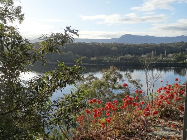 Red Cliff Bay photo 2