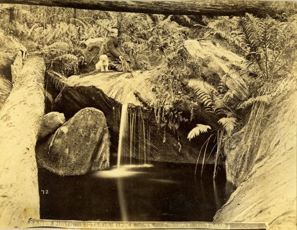 Mount Pool photo 3