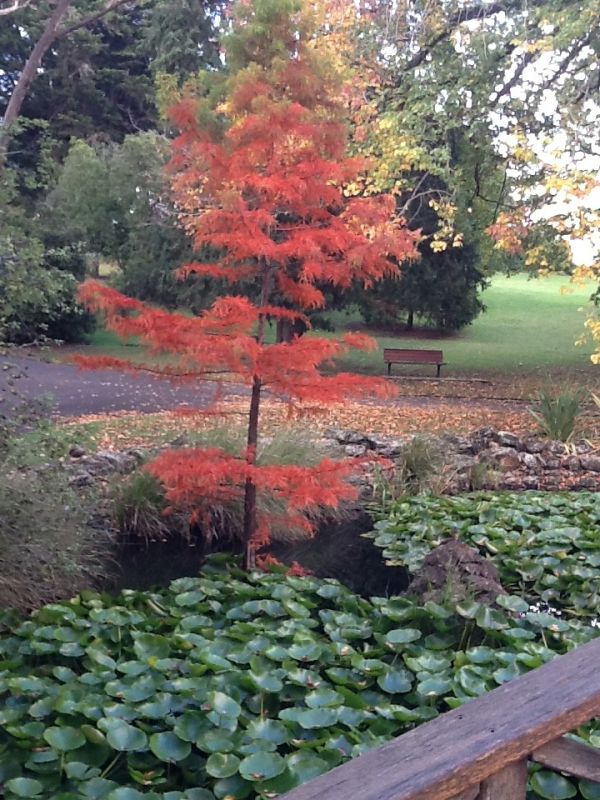 Portland River photo 4