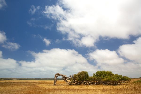 Greenough River, Western Australia