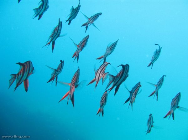 Shoal Bay photo 3