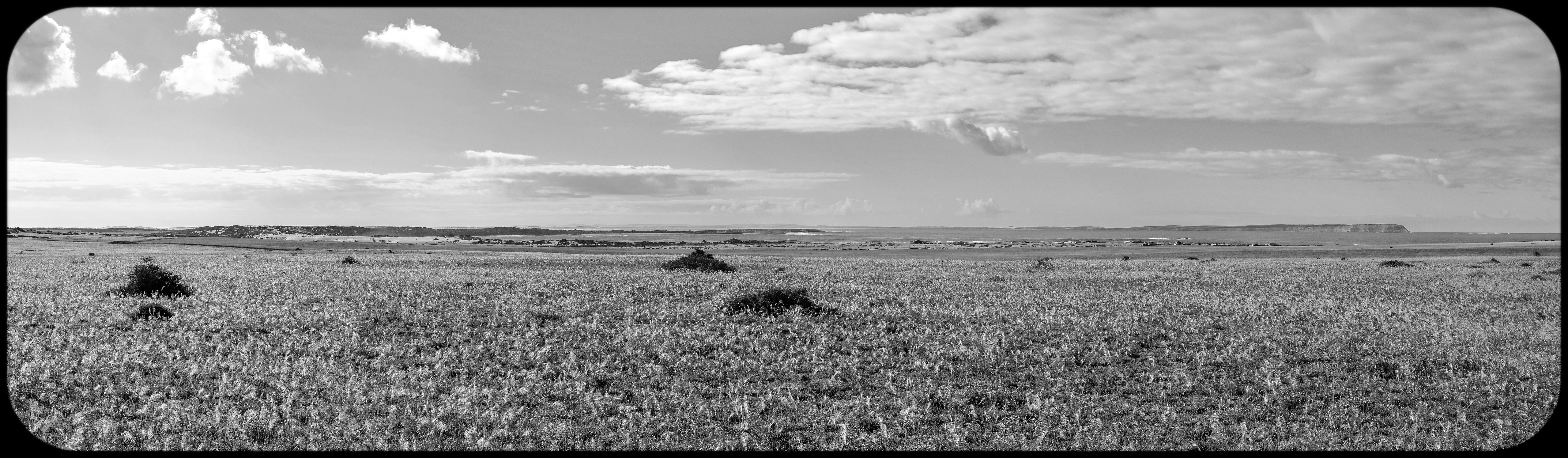 Mount Westall, South Australia