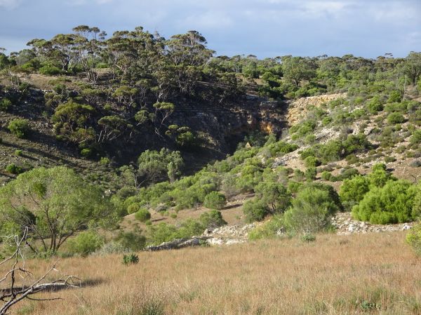 Walker River photo 2