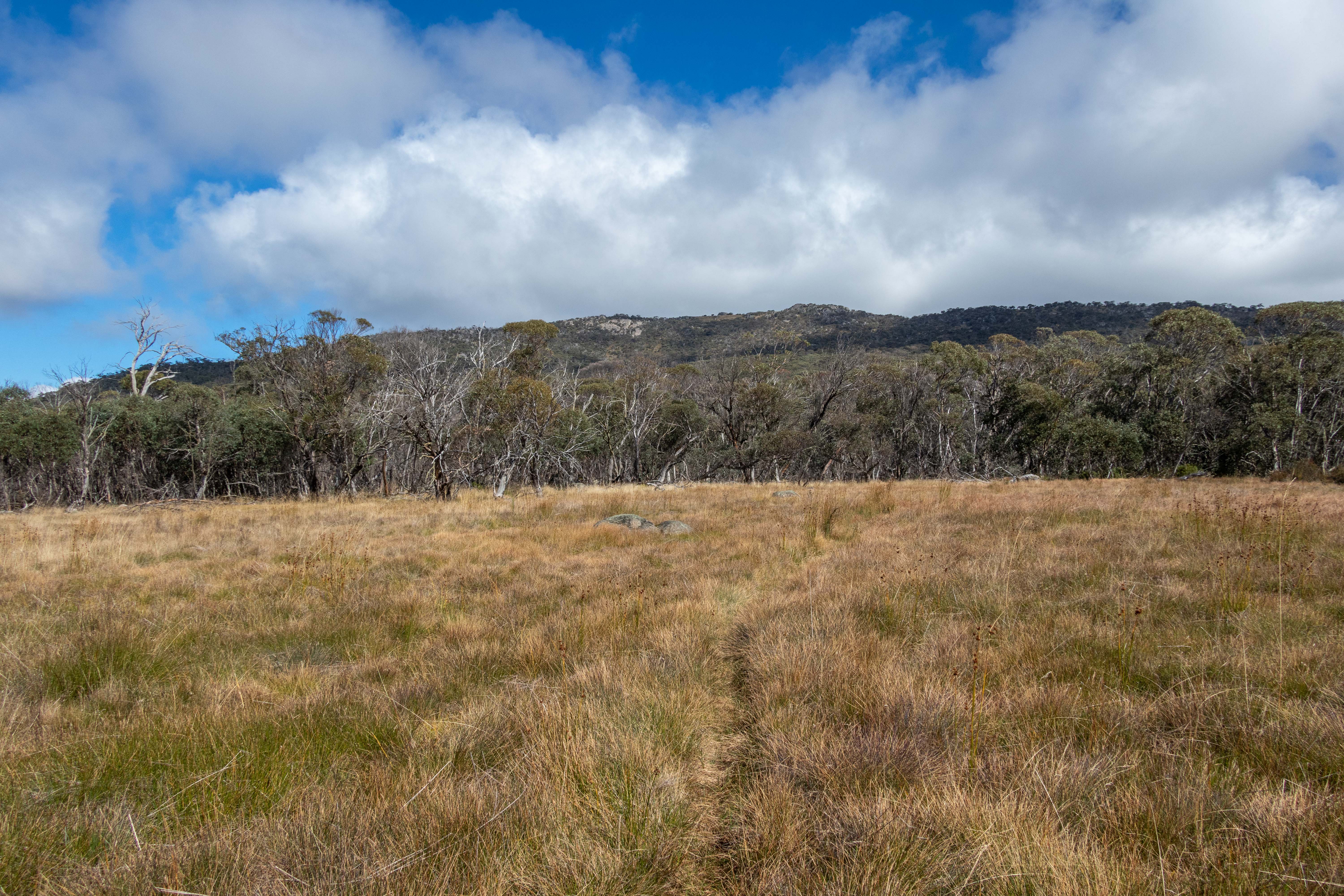 Mount Marsh, Western Australia