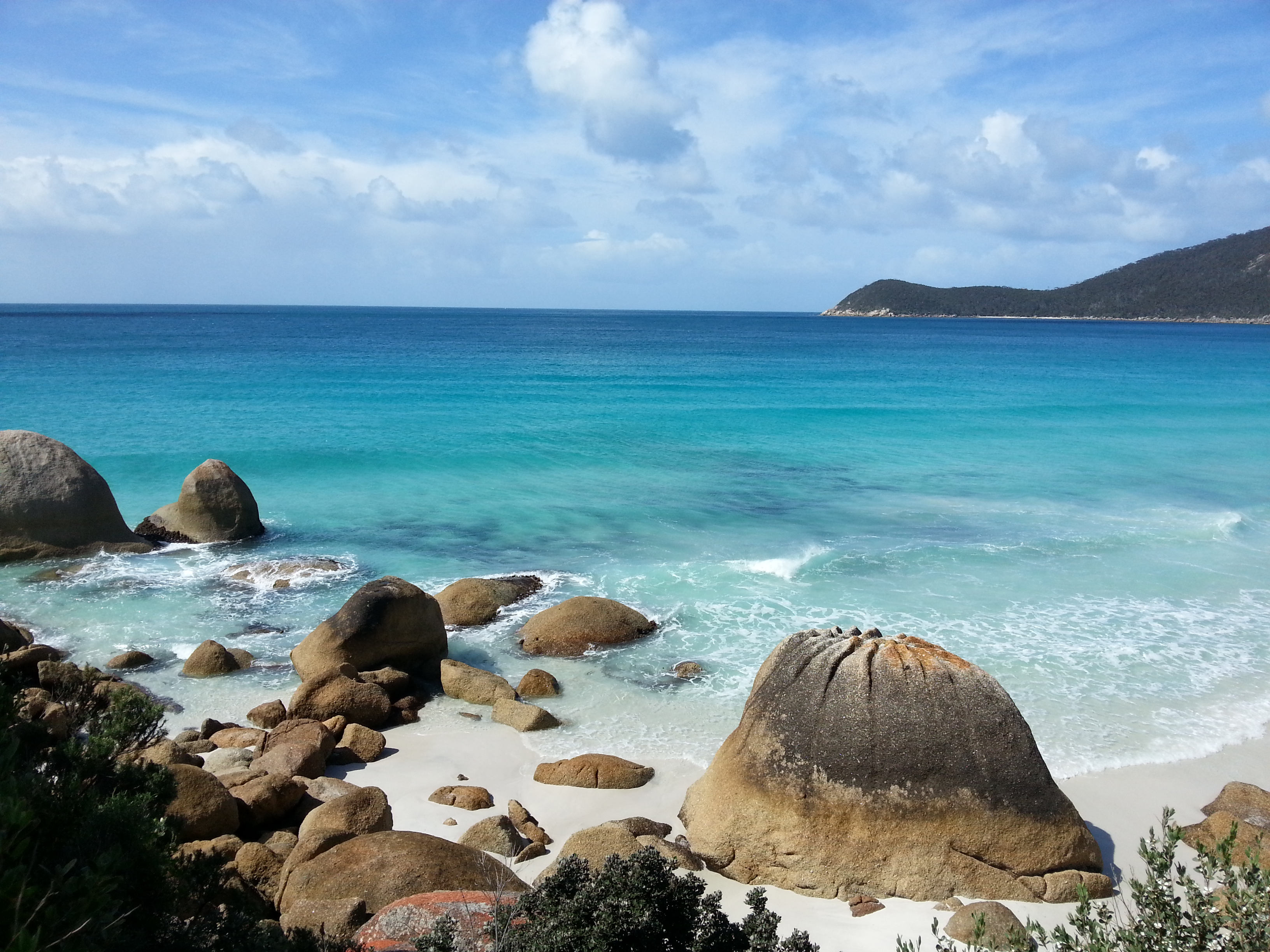 Waterloo Bay photo 3