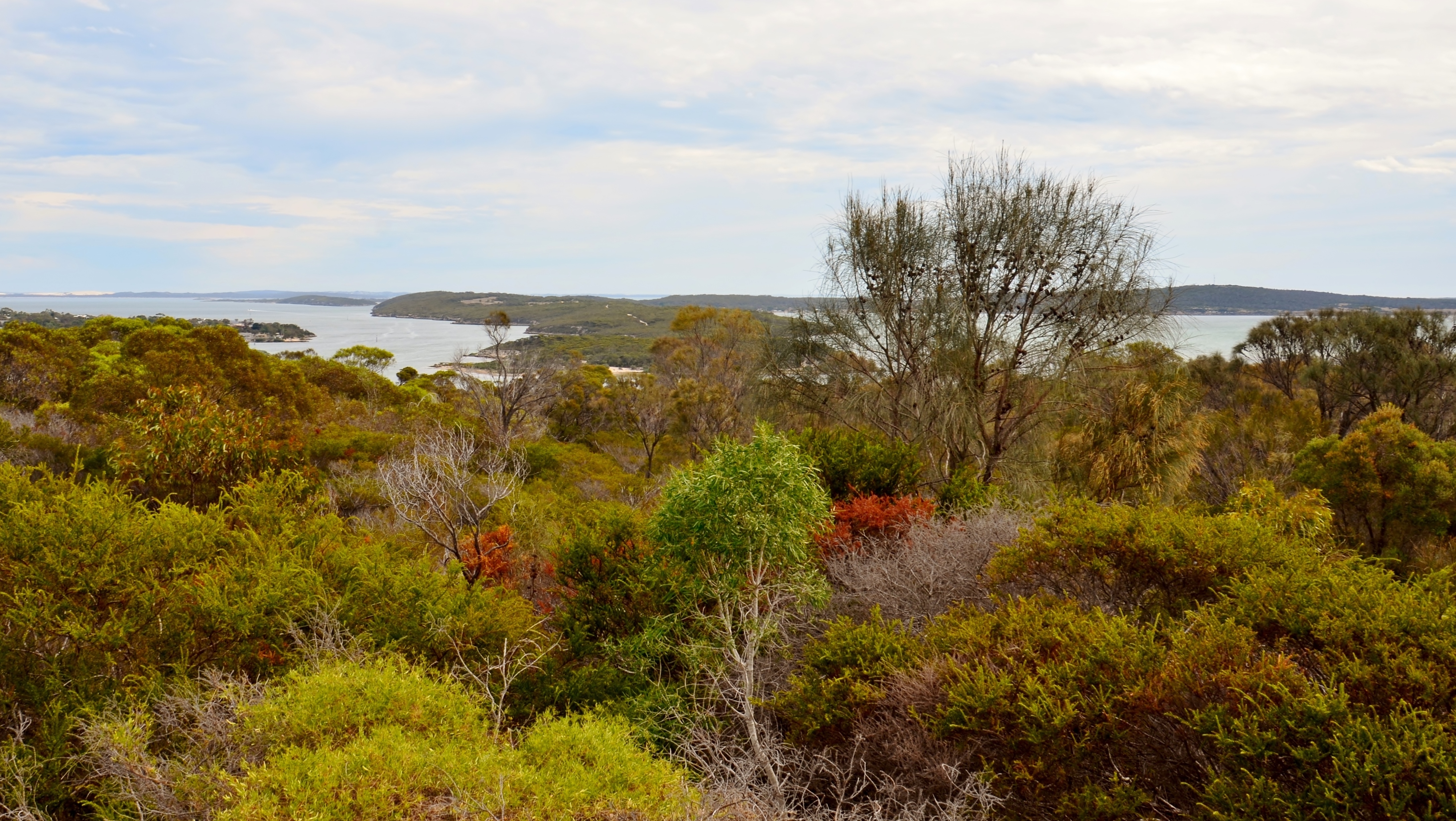 Kellidie Bay, South Australia