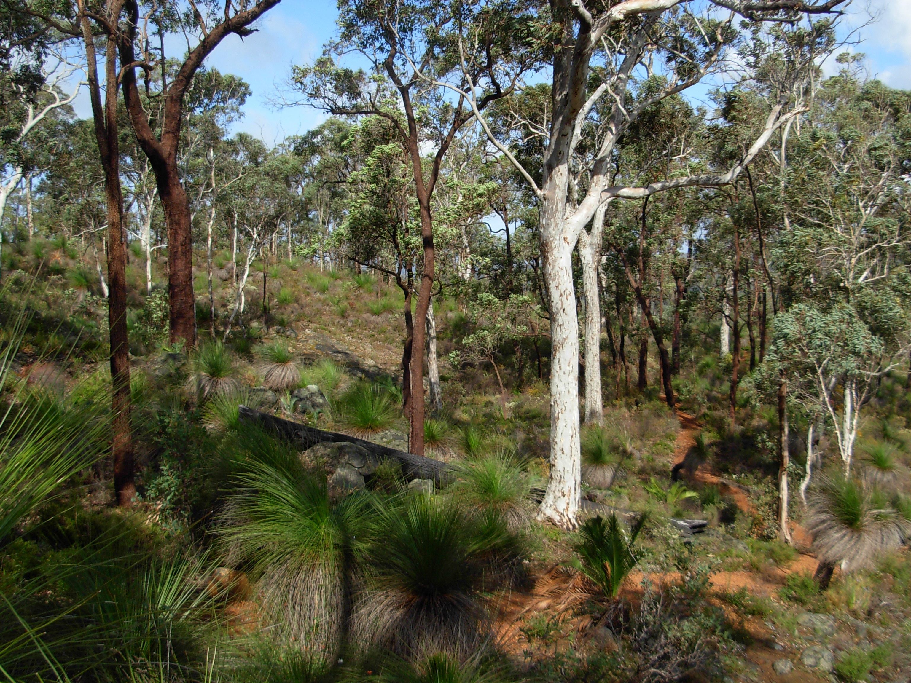 Helena River, Western Australia
