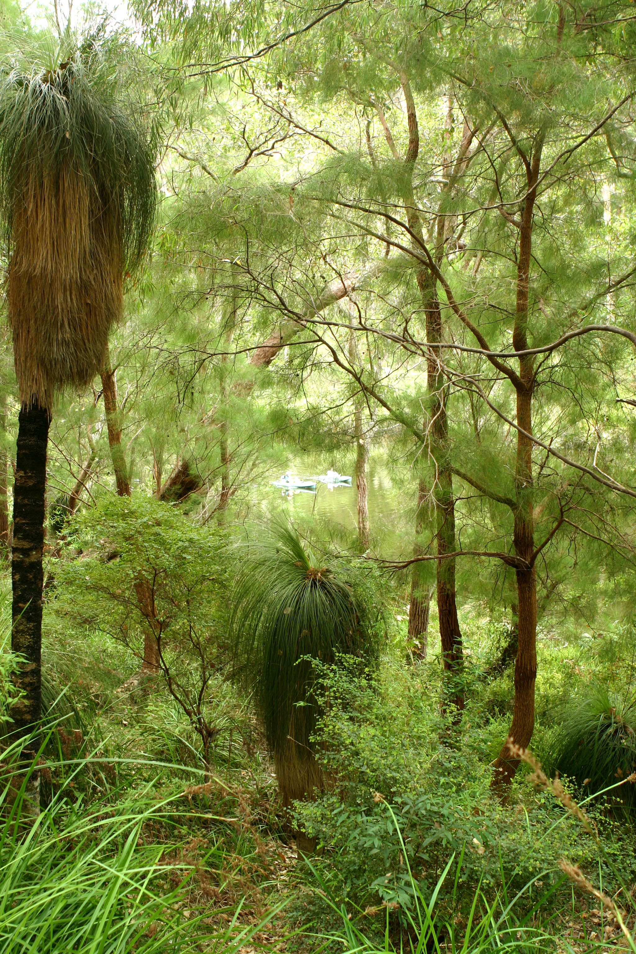 Walpole River photo 2