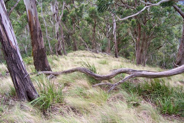 Mount Royal, Western Australia