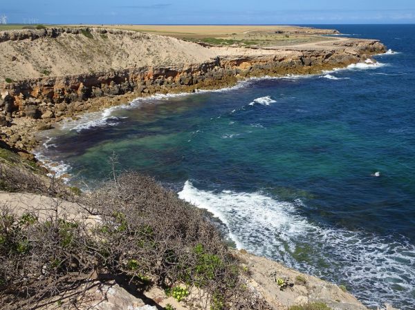 Hardwicke Bay, South Australia