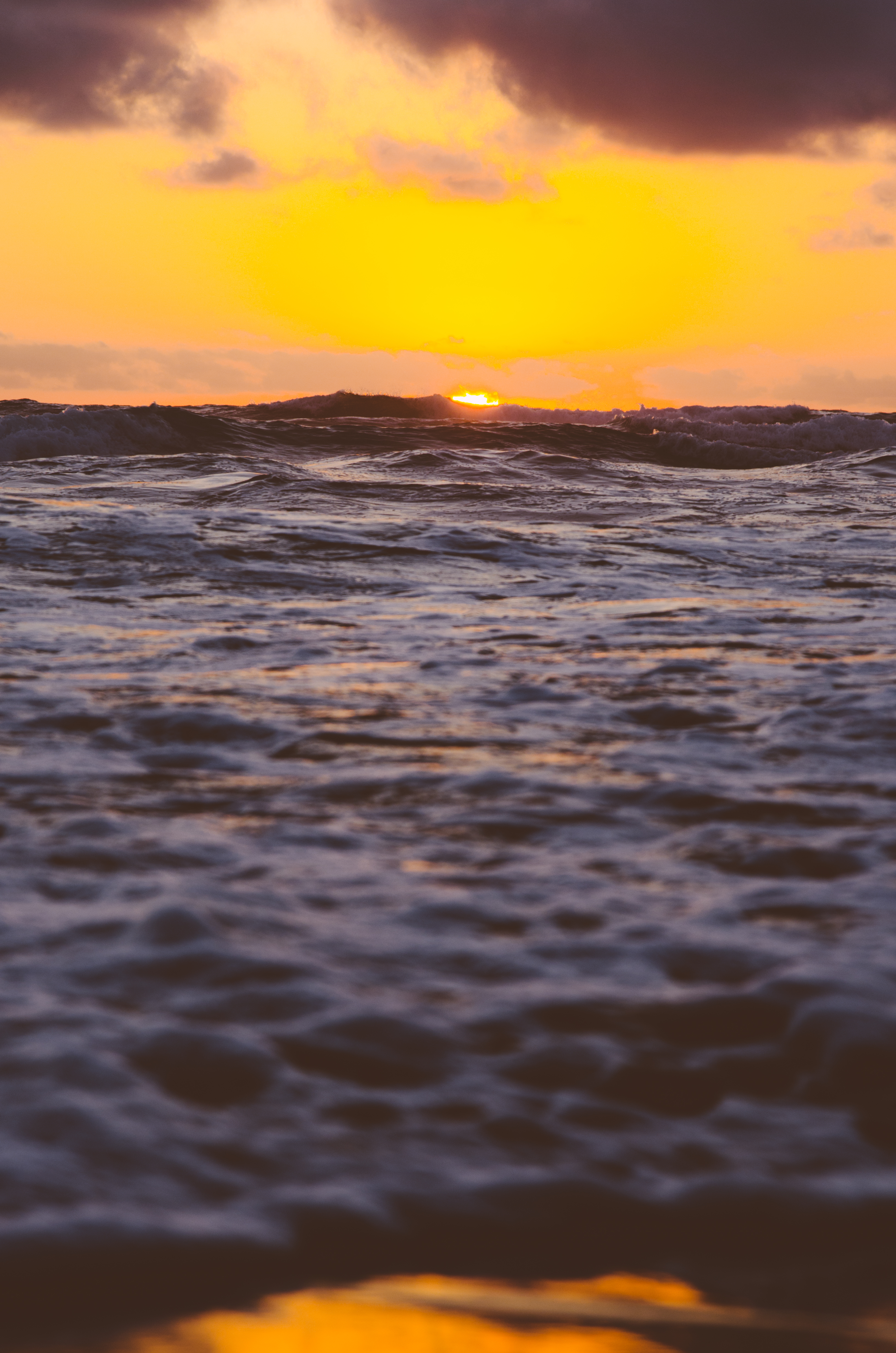 Venus Bay photo 2