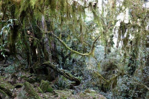 Mount Singleton photo 3