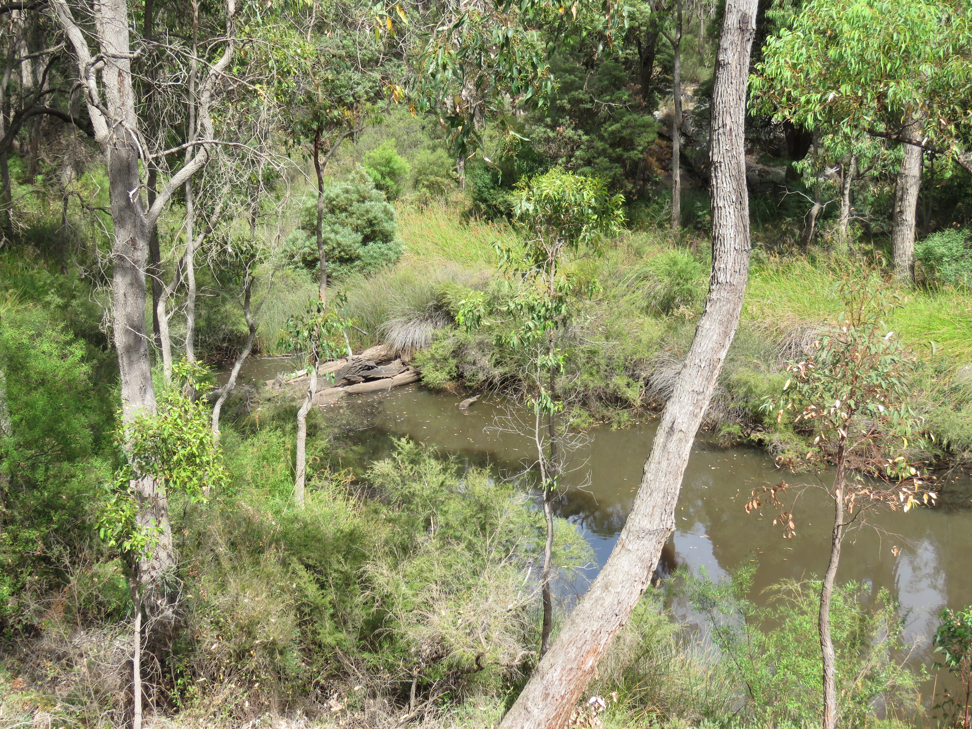 South Dandalup River, Western Australia