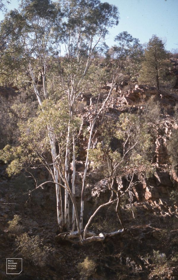 Mount Serle, South Australia
