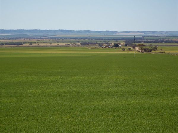 Mount Templeton photo 3