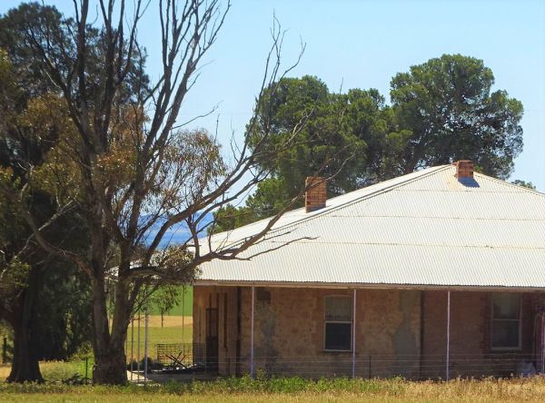 Mount Templeton photo 4