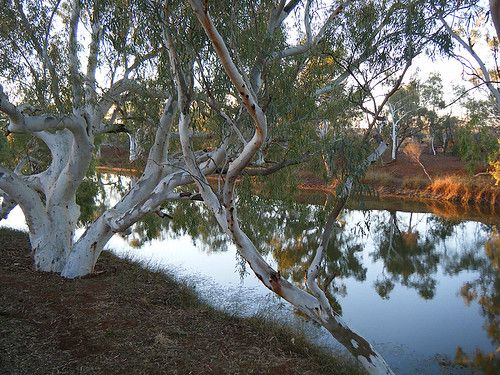North Lyons River, Western Australia
