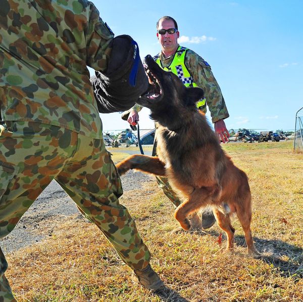 Recruit Bay photo 3
