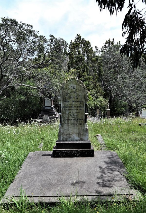 Mount Shaw photo 3
