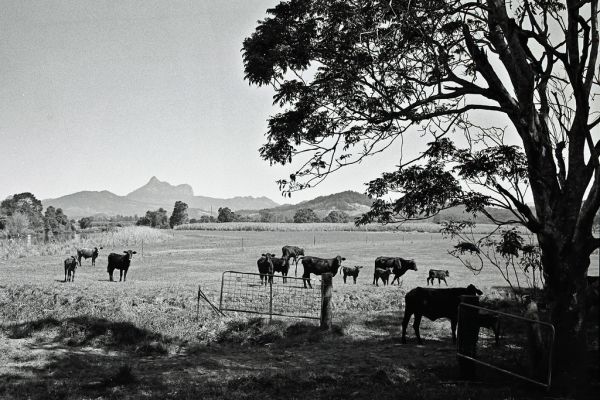 Warne River photo 4