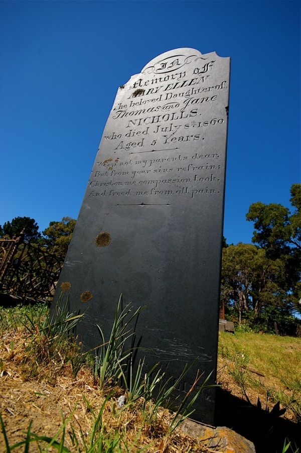 Pine Hill Reservoir photo 2