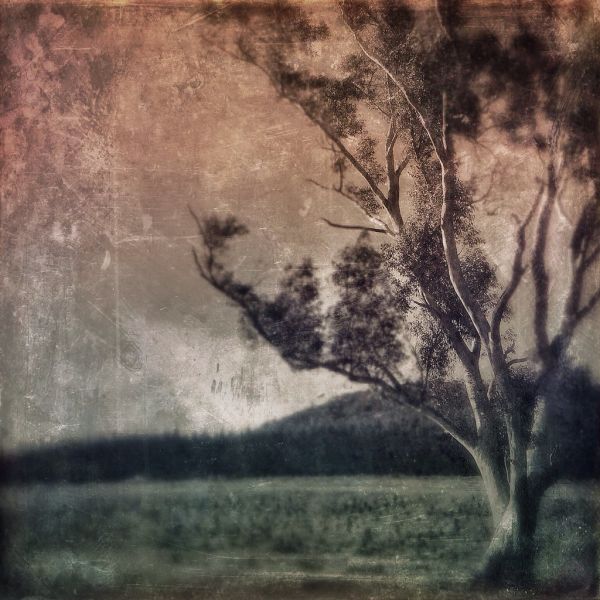Mount Solitary photo 3