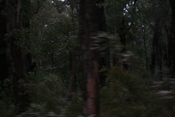 Walpole River photo 4