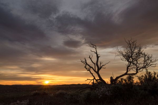 Weekeroo Hill photo 2