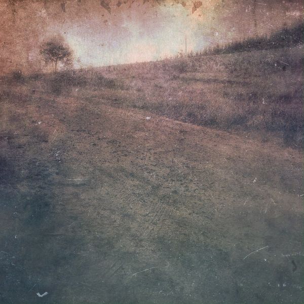 Mount Solitary photo 4