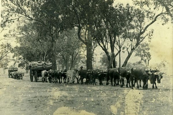Saddle Bags, South Australia