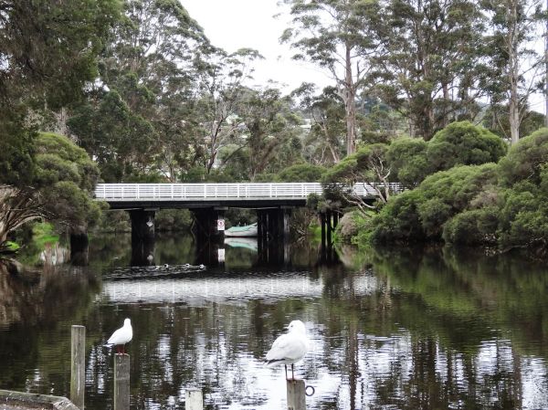 Walpole River photo 3