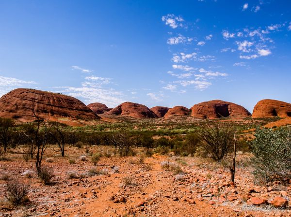 Mount Olga photo 4