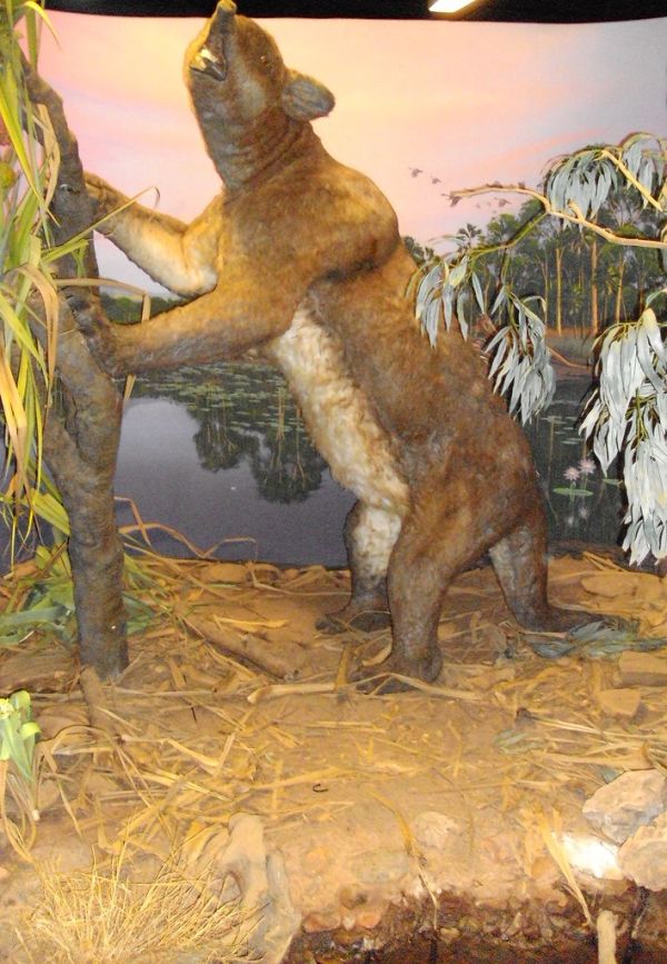 Mount Possum photo 3