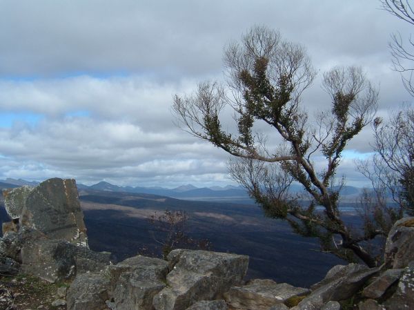 Reid Lookout photo 2